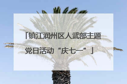 镇江润州区人武部主题党日活动“庆七一”