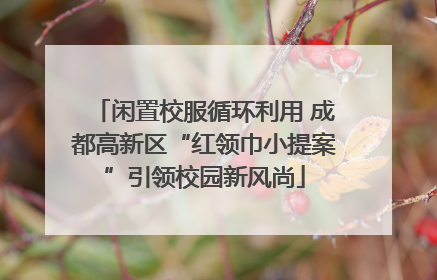 闲置校服循环利用 成都高新区“红领巾小提案”引领校园新风尚