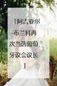 阿吉亚尔-布兰科再次当选葡萄牙议会议长