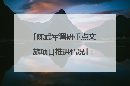 陈武军调研重点文旅项目推进情况