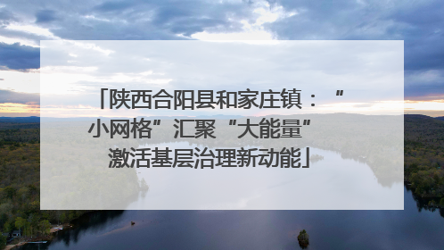 陕西合阳县和家庄镇：“小网格”汇聚“大能量” 激活基层治理新动能