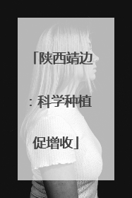 陕西靖边：科学种植促增收