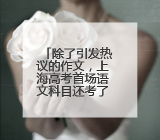 除了引发热议的作文，上海高考首场语文科目还考了哪些