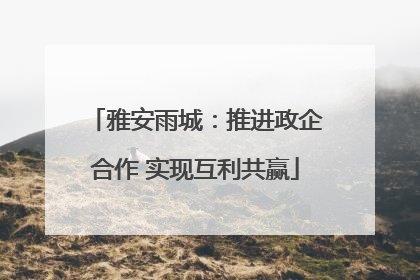 雅安雨城：推进政企合作 实现互利共赢