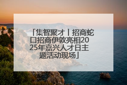 集智聚才丨招商蛇口招商伊敦亮相2025年嘉兴人才日主题活动现场