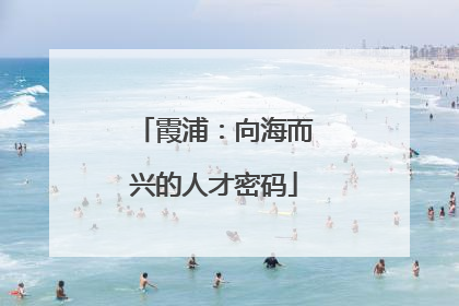 霞浦：向海而兴的人才密码