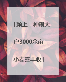 颍上一种粮大户3000余亩小麦喜丰收