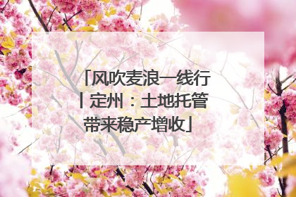 风吹麦浪一线行丨定州：土地托管带来稳产增收
