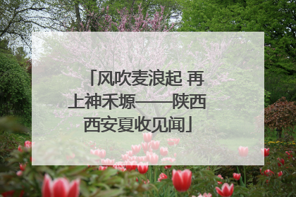 风吹麦浪起 再上神禾塬——陕西西安夏收见闻