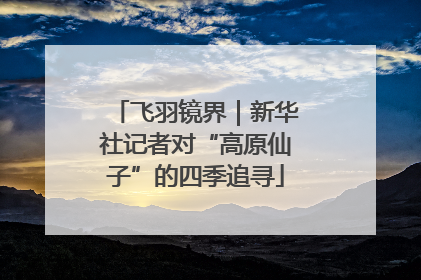 飞羽镜界｜新华社记者对“高原仙子”的四季追寻