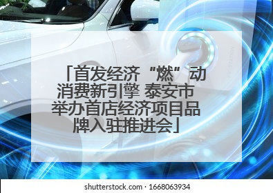 首发经济“燃”动消费新引擎 泰安市举办首店经济项目品牌入驻推进会