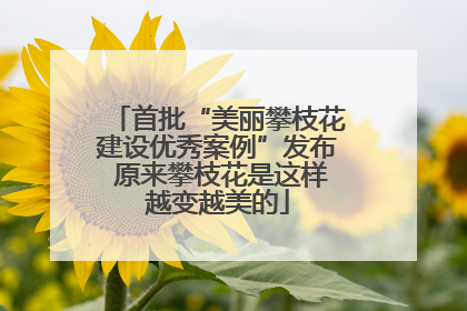 首批“美丽攀枝花建设优秀案例”发布 原来攀枝花是这样越变越美的