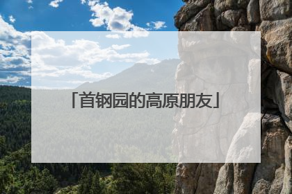首钢园的高原朋友