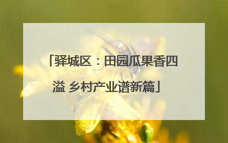 驿城区：田园瓜果香四溢 乡村产业谱新篇