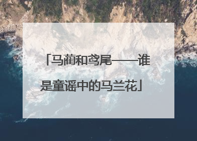 马蔺和鸢尾——谁是童谣中的马兰花
