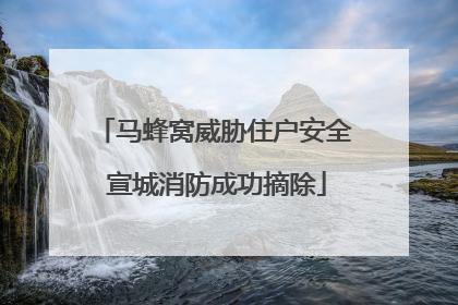 马蜂窝威胁住户安全 宣城消防成功摘除