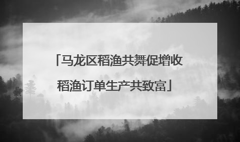 马龙区稻渔共舞促增收 稻渔订单生产共致富