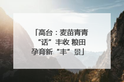 高台：麦苗青青“话”丰收 粮田孕育新“丰”景