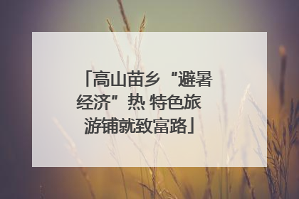 高山苗乡“避暑经济”热 特色旅游铺就致富路