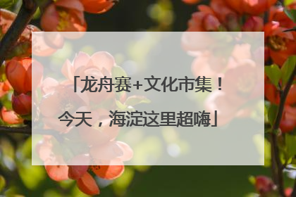 龙舟赛+文化市集！今天，海淀这里超嗨