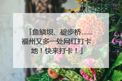 鱼鳞坝、碇步桥……福州又多一处网红打卡地！快来打卡！