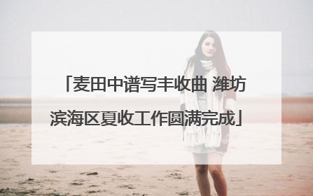 麦田中谱写丰收曲 潍坊滨海区夏收工作圆满完成