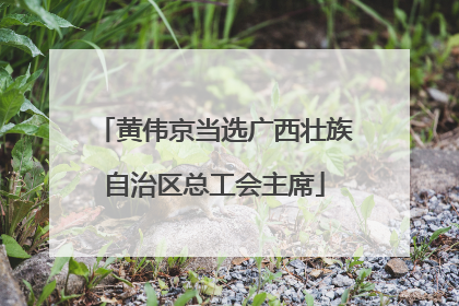 黄伟京当选广西壮族自治区总工会主席