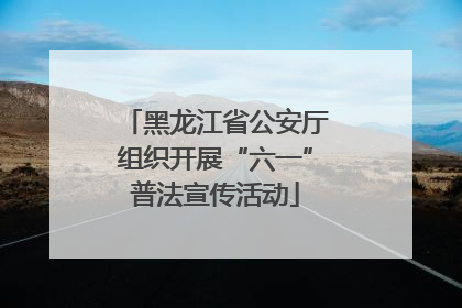 黑龙江省公安厅组织开展“六一”普法宣传活动
