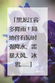 黑龙江省多降雨！局地伴有短时强降水、雷暴大风、冰雹……