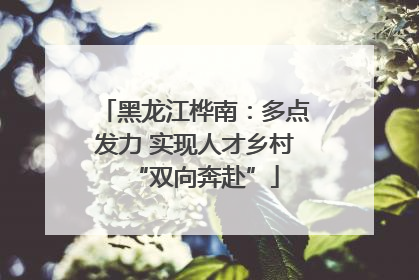 黑龙江桦南：多点发力 实现人才乡村“双向奔赴”