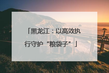 黑龙江：以高效执行守护“粮袋子”
