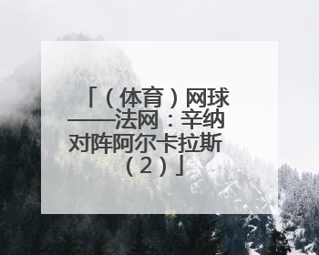 （体育）网球——法网：辛纳对阵阿尔卡拉斯（2）