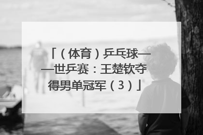 （体育）乒乓球——世乒赛：王楚钦夺得男单冠军（3）