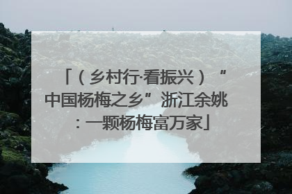 （乡村行·看振兴）“中国杨梅之乡”浙江余姚：一颗杨梅富万家