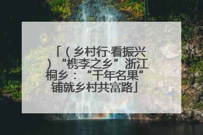 （乡村行·看振兴）“槜李之乡”浙江桐乡：“千年名果”铺就乡村共富路