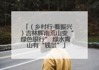 （乡村行·看振兴）吉林辉南荒山变“绿色银行” 绿水青山有“钱景”