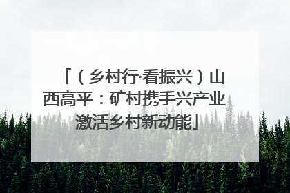 （乡村行·看振兴）山西高平：矿村携手兴产业 激活乡村新动能