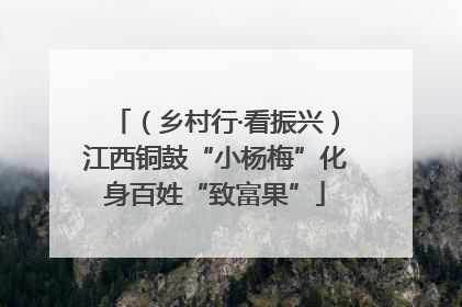 （乡村行·看振兴）江西铜鼓“小杨梅”化身百姓“致富果”