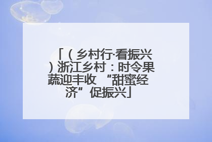 （乡村行·看振兴）浙江乡村：时令果蔬迎丰收 “甜蜜经济”促振兴