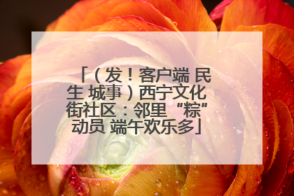 （发！客户端 民生 城事）西宁文化街社区：邻里“粽”动员 端午欢乐多