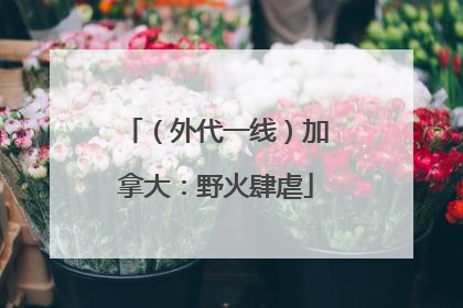 （外代一线）加拿大：野火肆虐