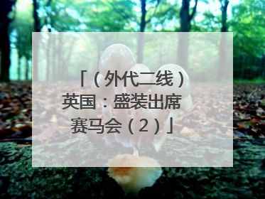 （外代二线）英国：盛装出席赛马会（2）