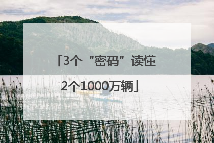 3个“密码”读懂2个1000万辆