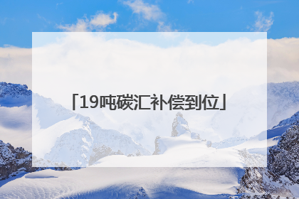 19吨碳汇补偿到位