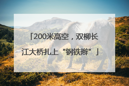 200米高空，双柳长江大桥扎上“钢铁辫”