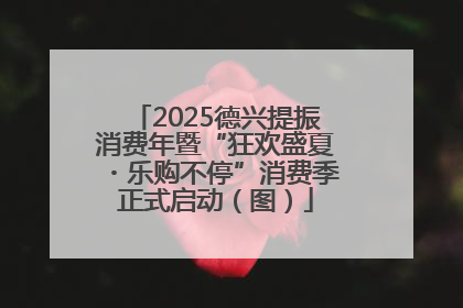 2025德兴提振消费年暨“狂欢盛夏・乐购不停”消费季正式启动（图）