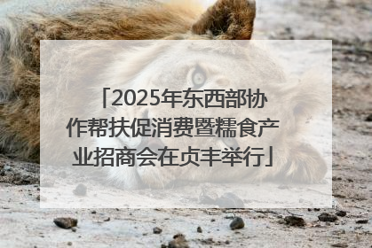 2025年东西部协作帮扶促消费暨糯食产业招商会在贞丰举行