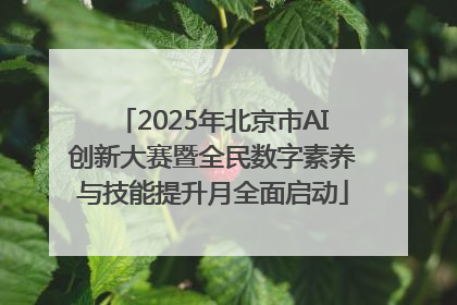2025年北京市AI创新大赛暨全民数字素养与技能提升月全面启动