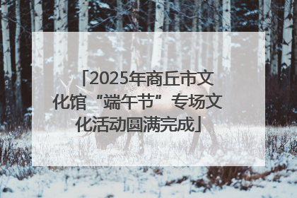2025年商丘市文化馆“端午节”专场文化活动圆满完成