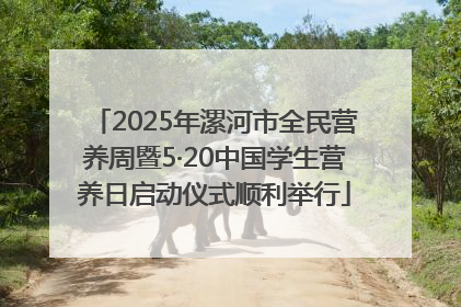 2025年漯河市全民营养周暨5·20中国学生营养日启动仪式顺利举行